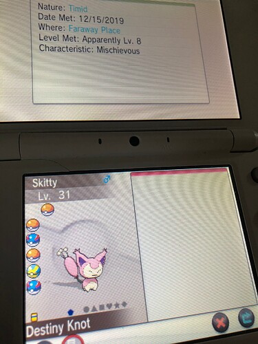 skitty