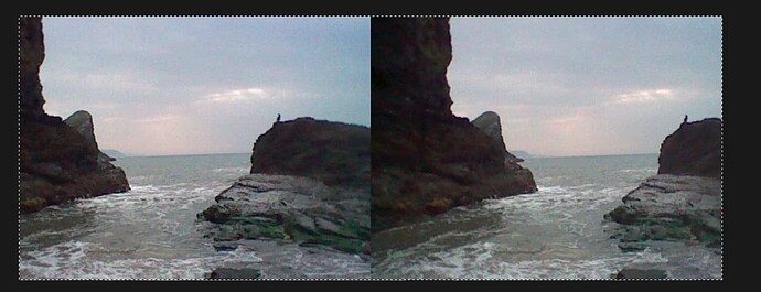 Two low quality 3DS photos side by side, used for stereoscopic 3D. Image looking out to sea with bird on some rocks with some cliffs in the distance