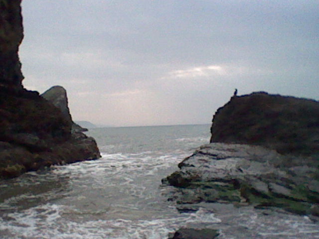 Low quality image looking out to the sea with a bird on some rocks along with a faint outline of cliffs further down